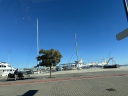 210-11-01-2026 IMG_3407